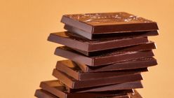 Researchers develop healthier chocolate concept using the whole cocoa fruit