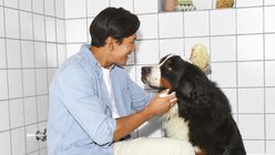 Grooming brand Floof introduces human-grade petcare 