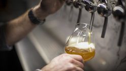 Crafting beer’s future